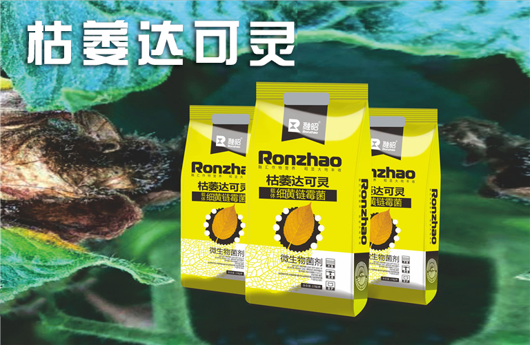 融昭